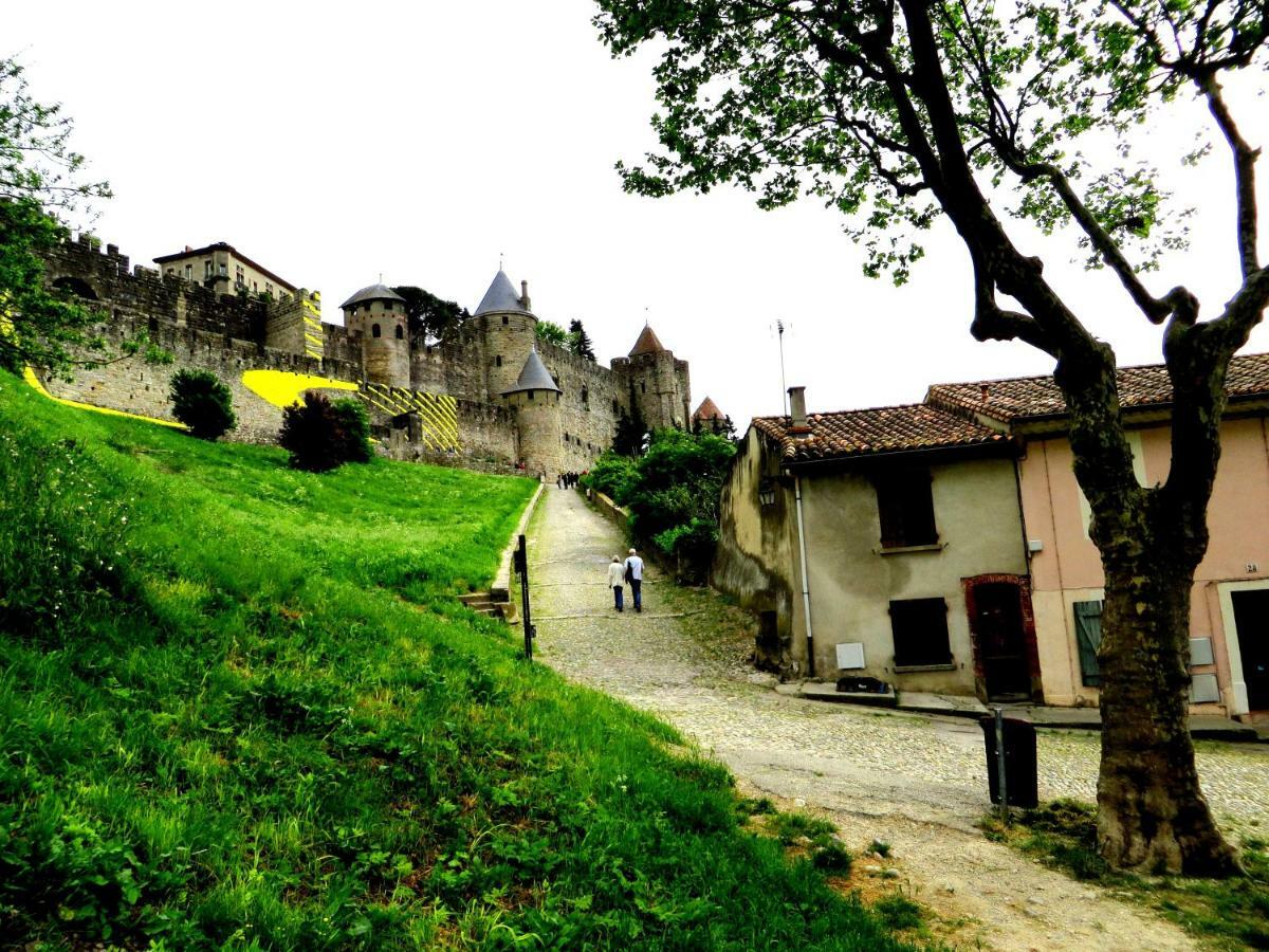 Cote De La Cite Medievale 카르카손 외부 사진